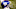 New York Giants New York Giants