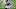 NY Giants NY Giants