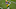 Green Bay Packers Green Bay Packers