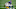 NY Giants NY Giants