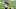 Evan Engram of the NY Giants (Photo by Jim McIsaac/Getty Images) Evan Engram of the NY Giants (Photo by Jim McIsaac/Getty Images)