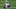 ARLINGTON, TEXAS – OCTOBER 04: Amari Cooper #19 of the Dallas Cowboys runs for a touchdown against the Cleveland Browns in the first quarter at AT&T Stadium on October 04, 2020 in Arlington, Texas. (Photo by Ronald Martinez/Getty Images) ARLINGTON, TEXAS – OCTOBER 04: Amari Cooper #19 of the Dallas Cowboys runs for a touchdown against the Cleveland Browns in the first quarter at AT&T Stadium on October 04, 2020 in Arlington, Texas. (Photo by Ronald Martinez/Getty Images)