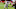 Giants wide receiver Hakeem Nicks Giants wide receiver Hakeem Nicks