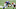 Giants Giants