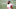 NY Giants NY Giants