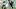 NY Giants NY Giants