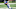 Dante Pettis #13 of the New York Giants (Photo by Elsa/Getty Images) Dante Pettis #13 of the New York Giants (Photo by Elsa/Getty Images)