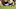NY Giants NY Giants