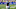 NY Giants