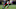 Evan Engram, NY Giants Evan Engram, NY Giants