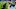 New York Giants New York Giants