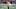 NY Giants, Dane Belton NY Giants, Dane Belton