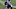 NY Giants, Daniel Bellinger. NY Giants, Daniel Bellinger.