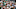 NEW ORLEANS, LA – OCTOBER 03: A general view of fans during a game between the UCF Knights and Tulane Greenwave at Yulman Stadium on October 3, 2015 in New Orleans, Louisiana. (Photo by Benjamin Solomon/Getty Images) NEW ORLEANS, LA – OCTOBER 03: A general view of fans during a game between the UCF Knights and Tulane Greenwave at Yulman Stadium on October 3, 2015 in New Orleans, Louisiana. (Photo by Benjamin Solomon/Getty Images)