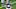 NY Giants NY Giants