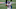 Nov 2, 2020; East Rutherford, New Jersey, USA; New York Giants wide receiver Sterling Shepard (87) during warm ups against the Tampa Bay Buccaneers at MetLife Stadium. Mandatory Credit: Vincent Carchietta-USA TODAY Sports Nov 2, 2020; East Rutherford, New Jersey, USA; New York Giants wide receiver Sterling Shepard (87) during warm ups against the Tampa Bay Buccaneers at MetLife Stadium. Mandatory Credit: Vincent Carchietta-USA TODAY Sports