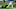 Evan Engram, NY Giants