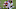 NY Giants NY Giants