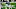 NY Giants NY Giants