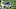 NY Giants NY Giants