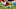 NY Giants NY Giants