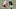 NY Giants NY Giants