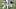 NY Giants NY Giants
