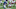 NY Giants NY Giants