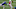 NY Giants NY Giants