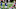 NY Giants NY Giants
