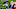 NY Giants NY Giants