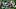 NY Giants NY Giants