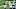 NY Giants NY Giants