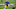 New York Giants New York Giants