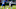 NY Giants NY Giants
