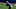 NY Giants NY Giants