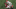 New York Giants New York Giants