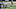 NY Giants NY Giants