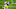 NY Giants NY Giants