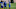 NY Giants NY Giants