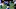 New York Giants, Sterling Shepard New York Giants, Sterling Shepard