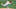 Los Angeles Angels Los Angeles Angels
