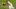 Los Angeles Angels Los Angeles Angels