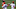 Los Angeles Angels Los Angeles Angels