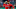 ARLINGTON, TX – APRIL 11: Jaime Barria ARLINGTON, TX – APRIL 11: Jaime Barria