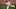 Dodgers, Dustin May Dodgers, Dustin May