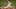 LA Angels, Anthony Rendon LA Angels, Anthony Rendon