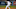 Max Scherzer Max Scherzer