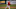 la angels la angels