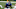 Colts Colts